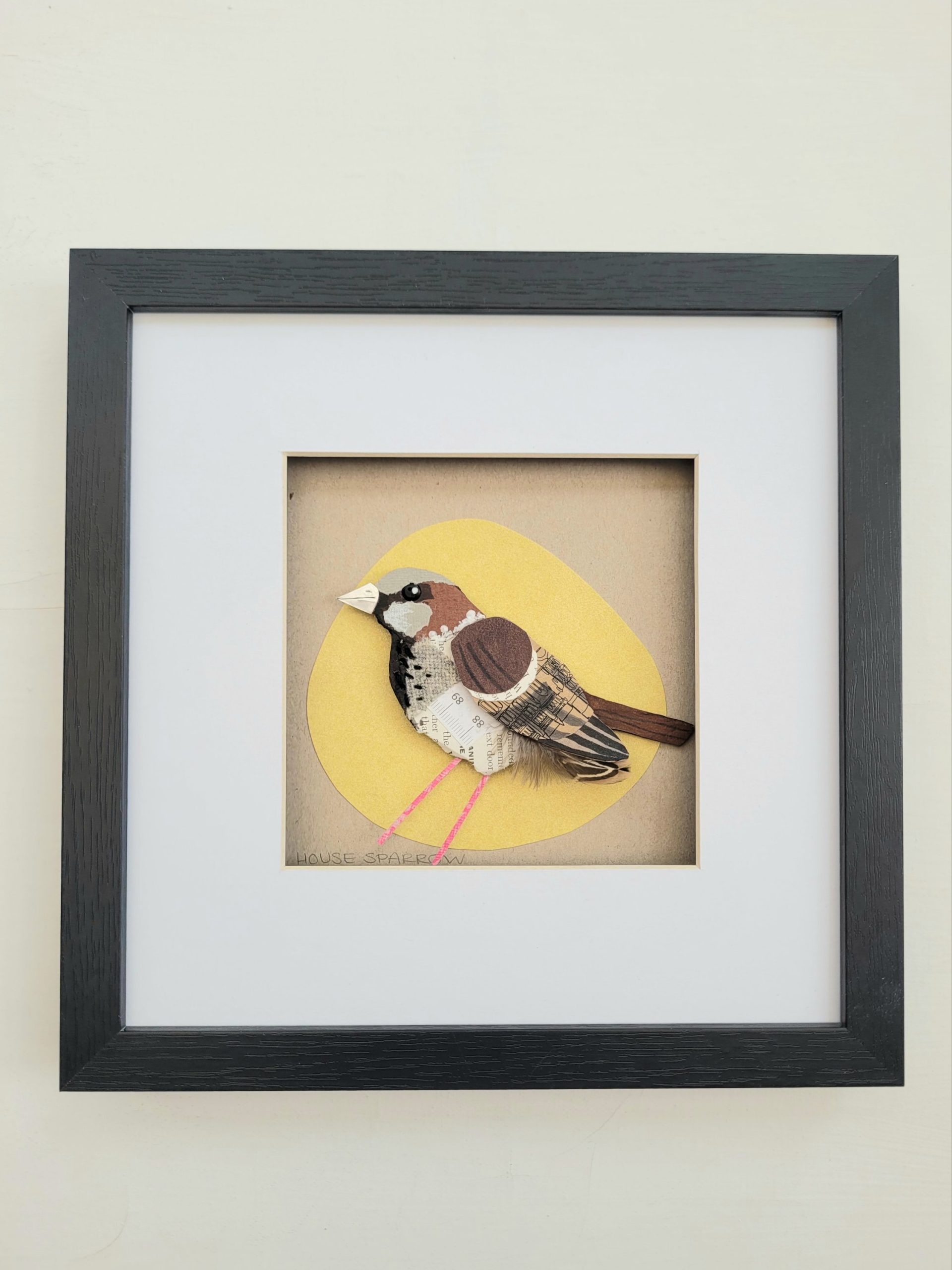 House Sparrow on Yellow | Original Art | 25cm x 25cm