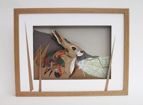 Field Hare in frame
